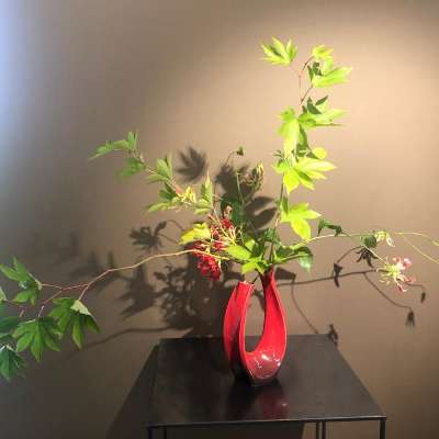 Ikebana