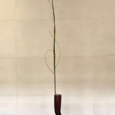 Ikebana