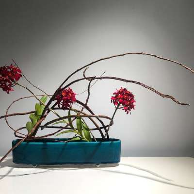 Ikebana