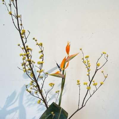 Ikebana